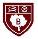 B Tree collaboration with Helping Kids